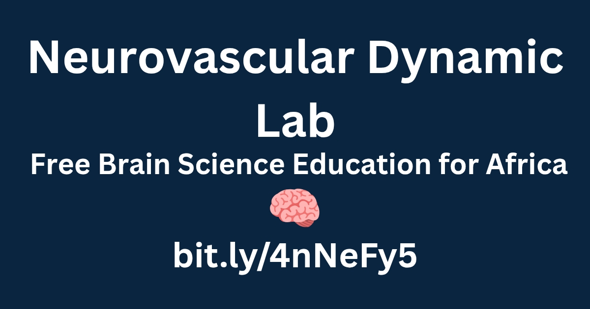 🧠 Neurovascular Dynamic Lab - Home